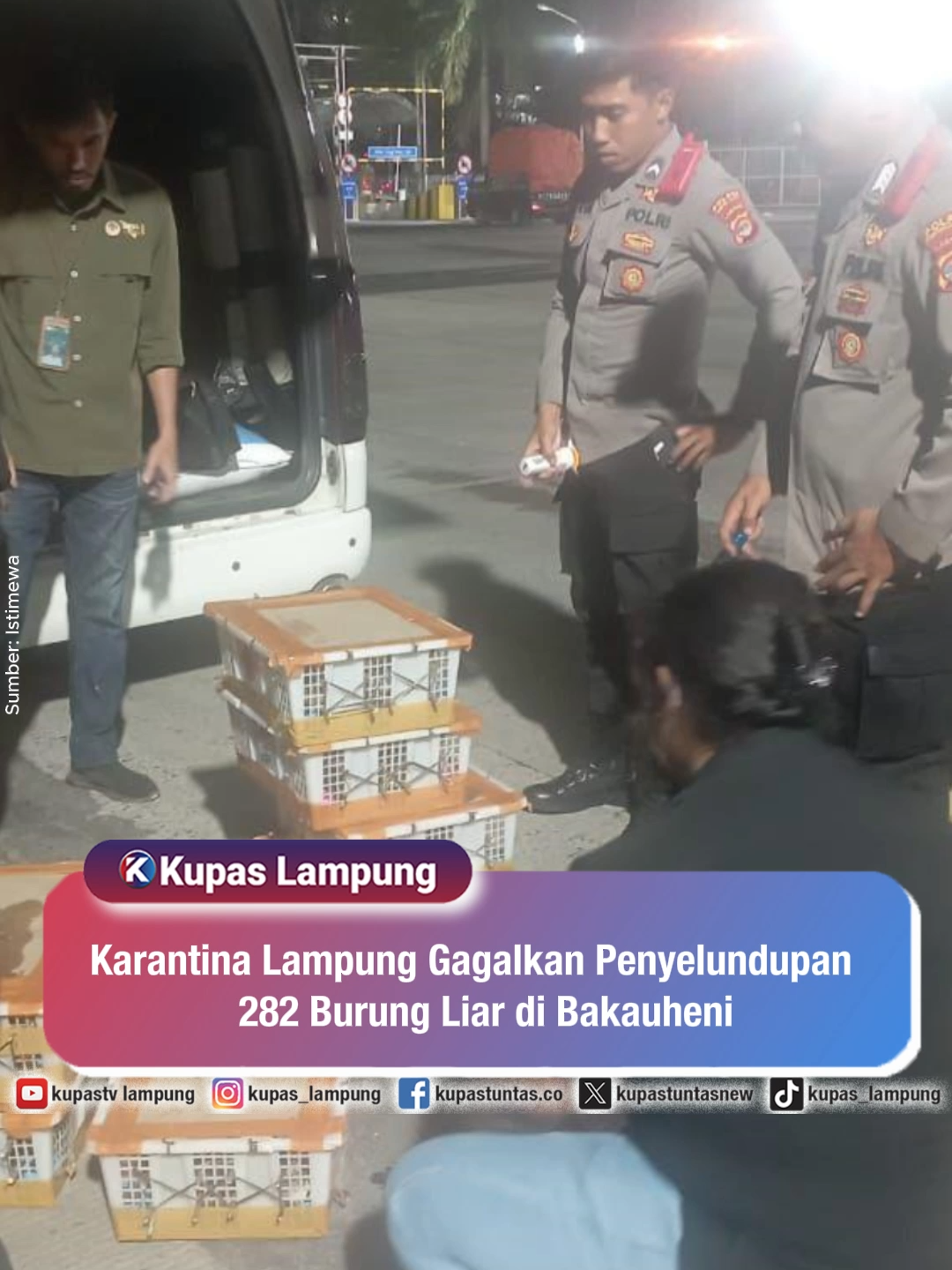 Karantina Lampung Gagalkan Penyelundupan 282 Burung Liar di Bakauheni . . Sebanyak 282 ekor burung liar, termasuk 18 di antaranya yang tergolong satwa dilindungi, berhasil diamankan oleh Karantina Lampung saat operasi pengawasan rutin di Pelabuhan Bakauheni, Lampung Selatan, Jumat malam, 12 September 2025. Kepala Karantina Lampung, Donni Muksydayan, menjelaskan burung-burung tersebut ditemukan di dalam tujuh keranjang plastik dalam sebuah minibus yang hendak menyeberang ke Pulau Jawa tanpa dilengkapi dokumen karantina dan konservasi. Satwa ini berasal dari Belitang, OKU, dan rencananya akan dibawa ke Jakarta Timur. Ia menegaskan bahwa perdagangan ilegal satwa liar tidak hanya melanggar hukum, tapi juga mengancam keseimbangan ekosistem dan meningkatkan risiko penyebaran penyakit menular. - Untuk berita lainnya, baca di www.kupastuntas.co - #SatwaLiar #KarantinaLampung #PelabuhanBakauheni