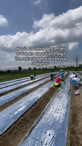 persiapan tanam 1 hektar lokasi pertama🔥🔥 #petanimuda #petanibengkoang #petaniindonesia🇮🇩🇮🇩🇮🇩🌿🌿 