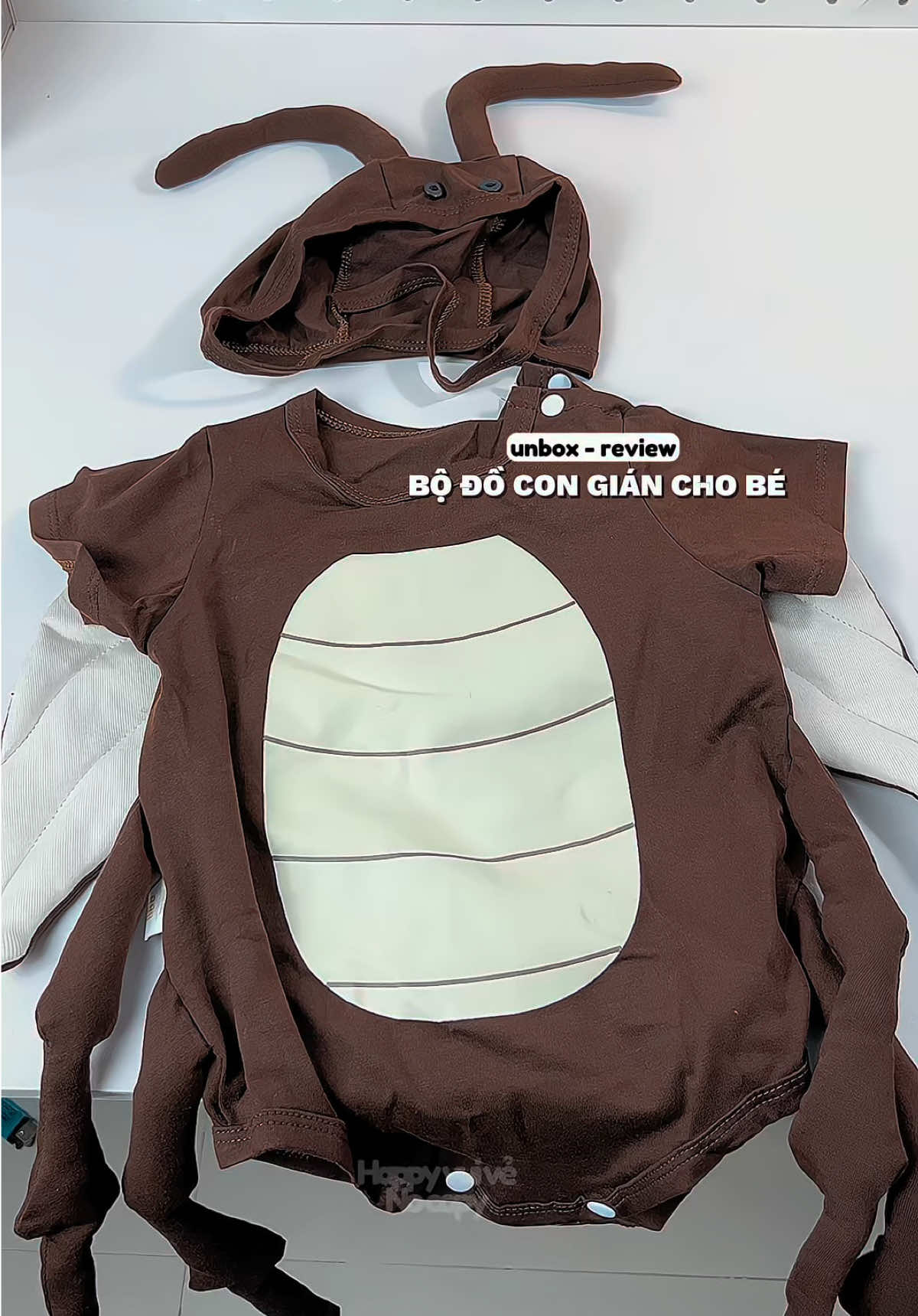 Bộ đồ bodysuit con gián cho  bé yêu 🪳  #happyvuive🌷 #dochobe #beyeu #bodysuitchobe #congian 