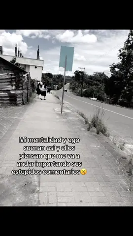 🤣❕ #mentalidad #fria #enparati 