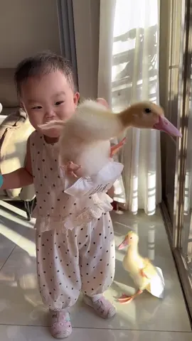#baby #cute #funny 