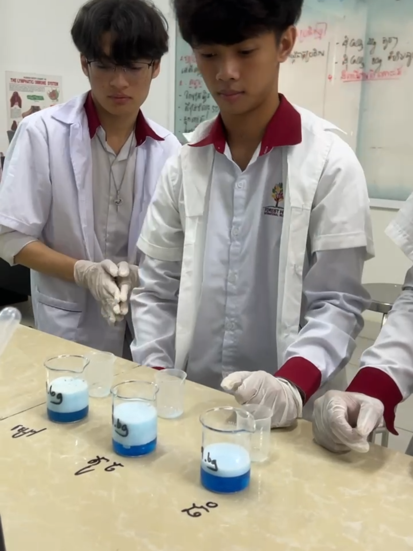 Experiment by Grade 12 #Foresthillinternationalschool