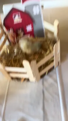 Uno se lleveo todos #centrodemesa #pollito #party #fypシ 