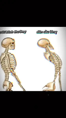 Đu theo trend cho các lông thủ 😙 #xuhuong #caulong #bdtiktokofficial #duet