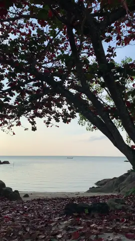 #pantai #vibes #belitung #foryoupage #batubedil 
