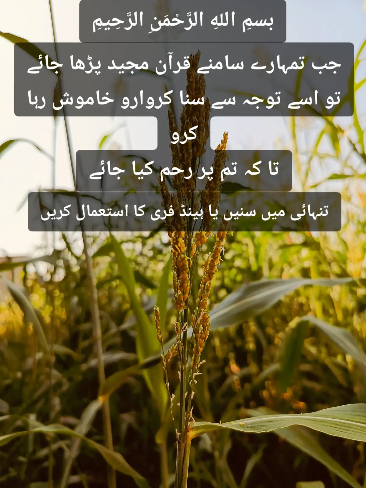 #quran #1millionaudition #for 