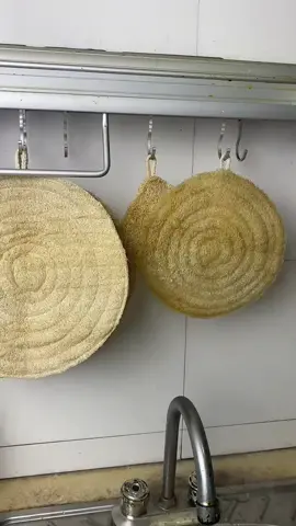 How Natural Loofah Sponges Are Made