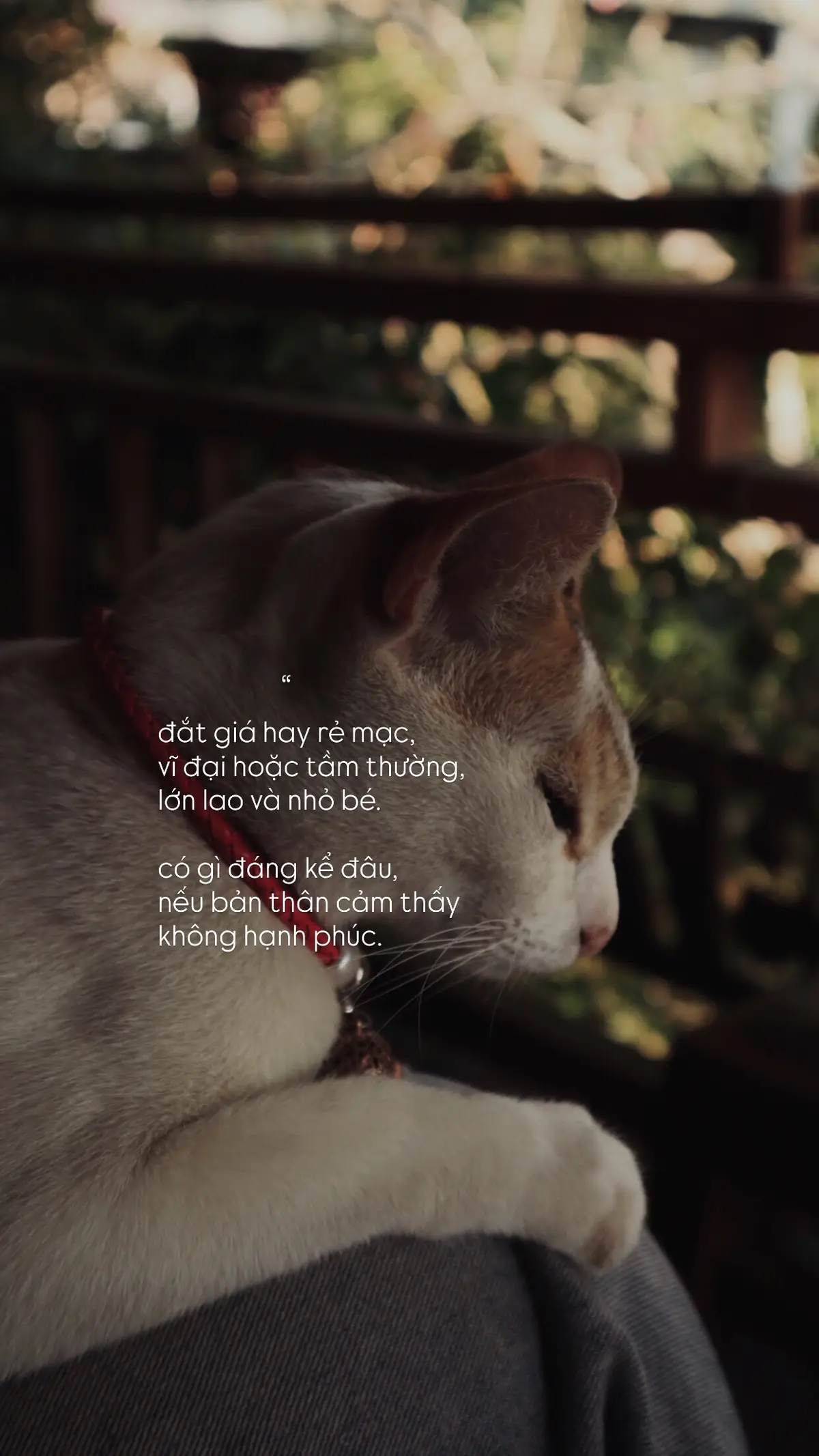 #viral #xuhuong #fyp #foryoupage 