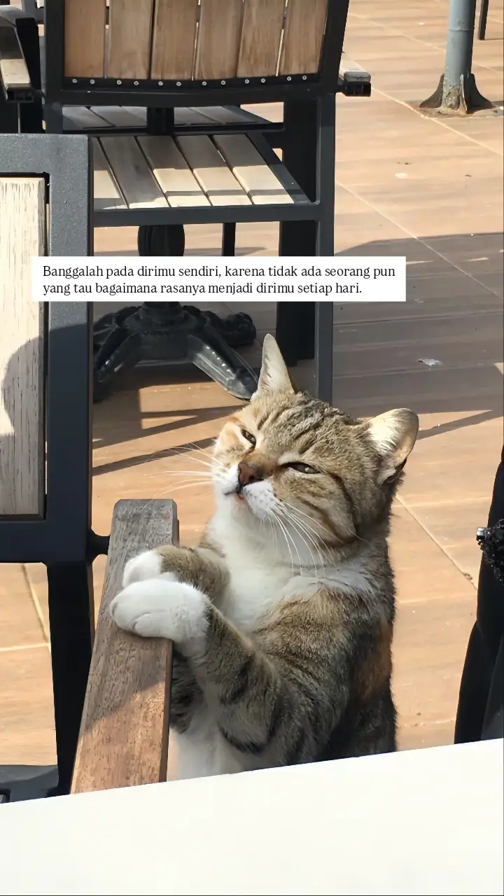 #quotesaesthetic 