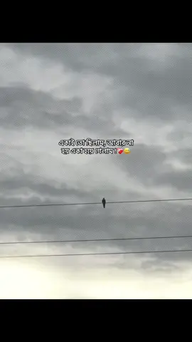 একাই তো ছিলাম, আবার না হয় একা হয়ে গেলাম..!❤️‍🩹😅#foryou #fyp #capson #emotionalvideo #ক্যাপশন @TikTok Bangladesh @TikTok 