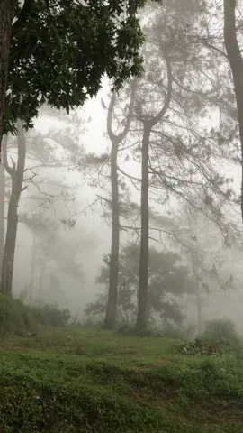 SURGA DUNIA #Alam #gunung #kabut 
