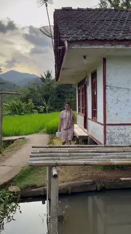 Bade ibak hela kajamban baraya #suasanapedesaan #tarisofficiall #pedesaan #suasanakampung #gadisdesa 