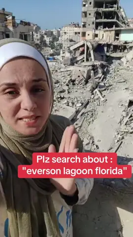 been dying to experience the 31 evermore bay lagoon pool ever since I saw it from my plane window last year and my dreams finally come true best pool in Orlando hands down #eversonlagoonflorida #orlandoflorida #TravelTikTok #travelbucketlist #fypp