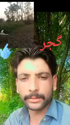 #گجر for you