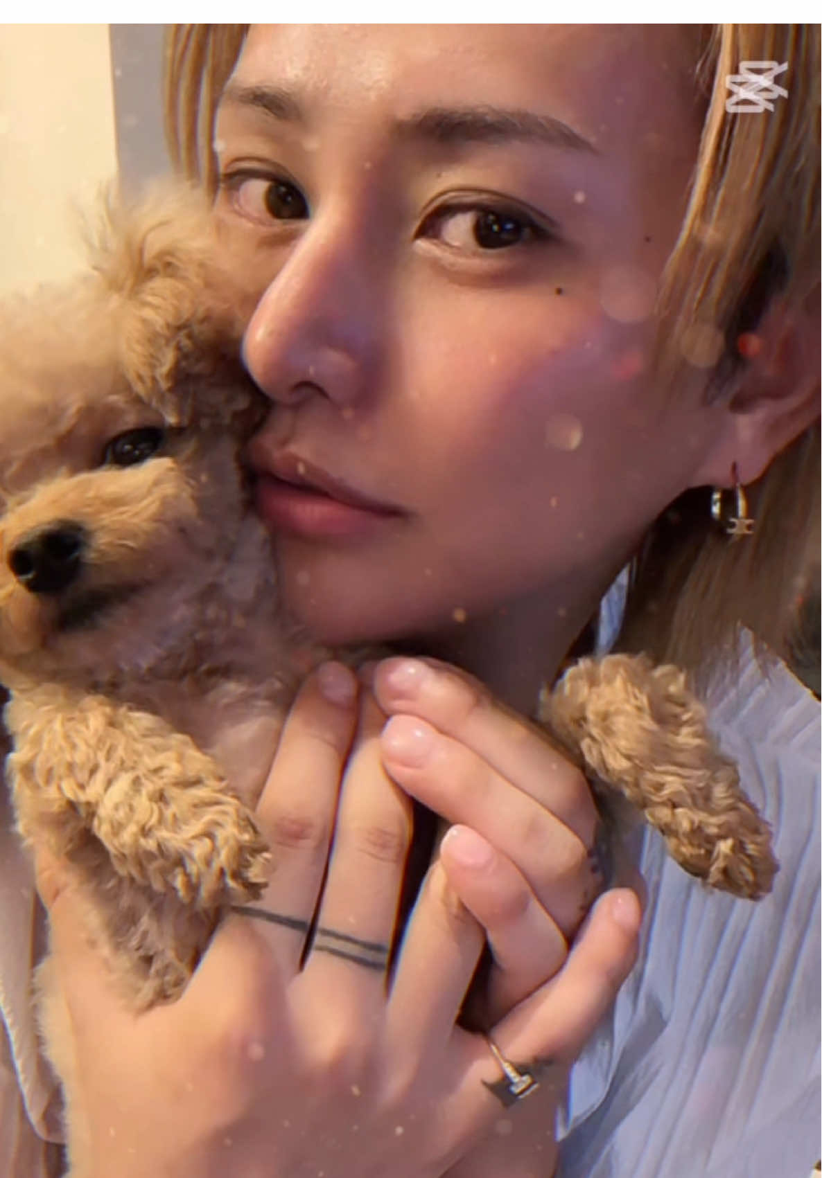 久々の深夜配信✨ ポケモンに夢中な隼人🤓 隼人だったらどんな配信でも ずっとみれるよねっ🫰🏻✨ #鳳條隼人 #SWAMP  #大阪ミナミ #ポケモン 