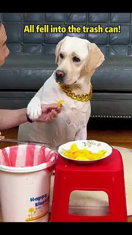 #funny #tik_tok #technology #technology #lovelypet #pets #viraltiktok #tpyシ #viraltiktok #viralreels 