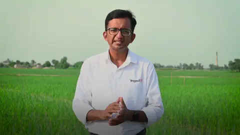 دھان کی فصل پر انسیپیو کے اسپرے کا صحیح طریقہ کیا ہے؟ آئیے جانتے ہیں ہمارے ماہر سے اس ویڈیو میں۔ #SyngentaPakistan #Incipio #Rice #Stemborer #Leaffolder #Dhankishaan