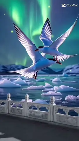 Anh hỏi một câu #nhạchaymỗingày 