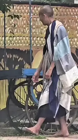 Thầy Minh Tuệ 15/9 #thayminhtuemoinhat #thayminhtue #thichminhtue #tinco369 