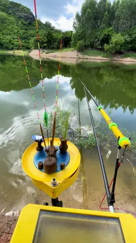 Bùa phép thế này mà còn múm nữa là😂#cauca #cauca77 #caucagiaitri #câucatựnhiên #fyp #viral 