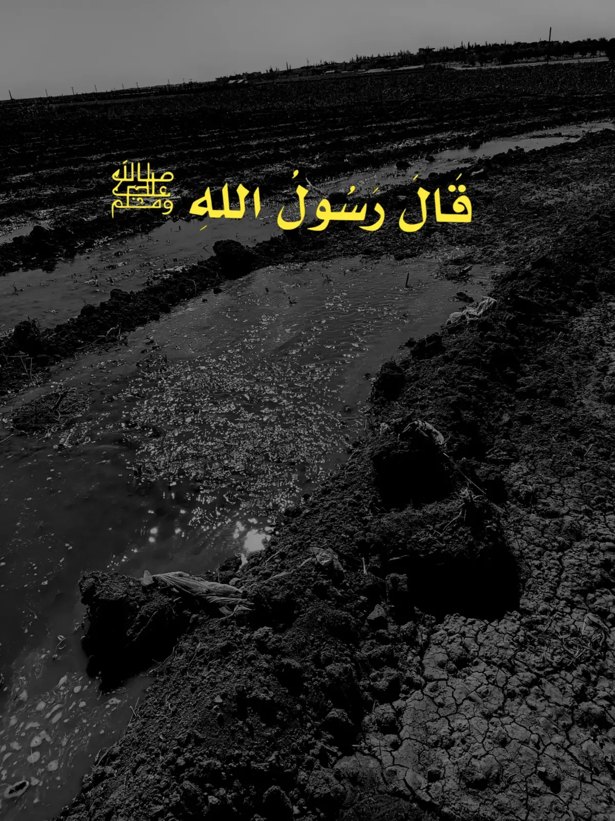 قال_رسول_الله_عليه_الصلاة_والسلام #النبي_محمد_صلى_الله_عليه_و_آله_وسلم #قال_رسول_الله_عليه_الصلاة_والسلام #fyp #قال_النبي_محمد_صلى_الله_عليه_وال_وسلم #الرسول #احديث_اسلامية #رسول_الله_صلى_الله_عليه_وسلم #quranقال_رسول_الله_عليه_الصلاة_والسلام#fyp #foryou #foryoupage #quranقال_رسول_الله_عليه_الصلاة_والسلام #music #f #100k #مالي_خلق_احط_هاشتاقات #quran #onthisday #mma #greenscreen #dance #roblox #illu #zyxcba #baby #jesus #fyp #wedding 