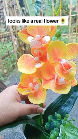 looks like a real flower na good quality at washable 🌺🌻 #artificialorchid #flowerwithvase #aetheticflowervase #homedecor #shopnow🛍 