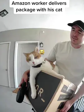 Delivery workers and cats on camera!#catsoftiktok #funnycat #catlover #cat#delivery#funnyvideos #fyp