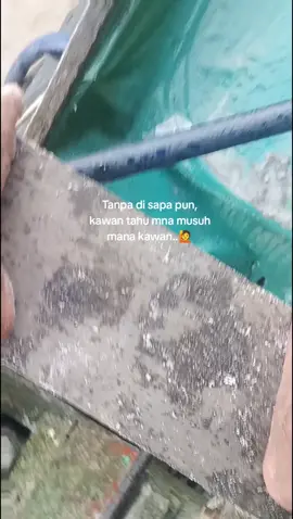 uma muak🤣#fyppppppppppppppppppppppp #fyppppppppppppppppppppppp #sungaiklanaman #sedotkatingan #fyppppppppppppppppppppppp 