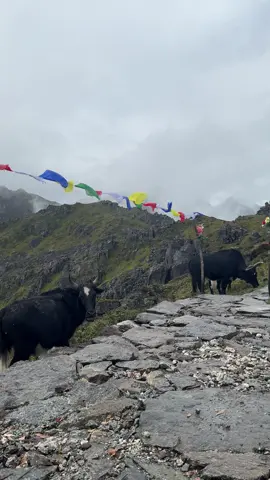 #fyppppppppppppppppppppp✨⛰️