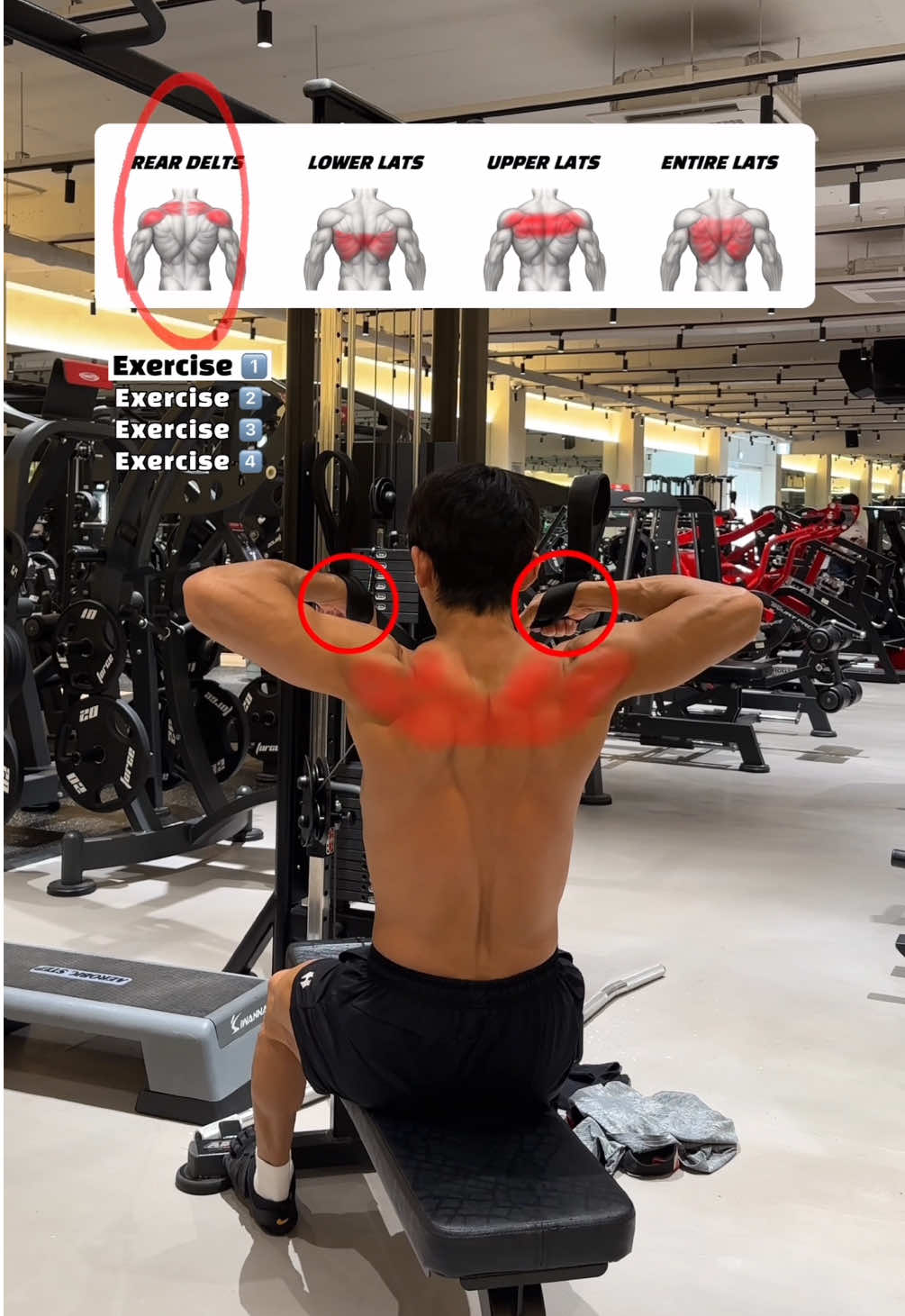 🔽시티드 로우(Back day) 그립별 자극 차이 4가지 루틴🔽 1. 페이스 풀 (Face Pull) - 로프를 얼굴 쪽으로 당겨주면 후면 삼각근(Rear Delts)과 중·하부 승모근(Mid/Lower Traps)을 강화해 어깨 후면과 등 윗부분을 선명하게 만듭니다. 2. 클로즈 그립 시티드 로우 (Close-Grip Seated Row) - 손을 좁게 모아 당겨주면 광배근 하부(Lower Lats)와 능형근(Rhomboids)을 집중 자극시키며 등 두께와 중심부 밀도를 키웁니다. 3. 와이드 그립 시티드 로우 (Wide-Grip Seated Row) - 팔을 넓게 벌려 잡고 당겨주면 광배근 상부(Upper Lats)와 후면 삼각근(Rear Delts)을 자극시키며 등 폭을 넓히는 데 효과적입니다. 4. 뉴트럴 그립 시티드 로우 (Neutral-Grip Seated Row) - 손바닥이 서로 마주 보는 중립 그립으로 당겨 광배근 전체(Entire Lats)와 능형근(Rhomboids)을 고르게 발달시켜 균형 잡힌 등 라인을 만듭니다. 📌 루틴 가이드 • 각 4세트 / 12–15회 • 휴식 45–60초 #seatedrow #backs #backday #backworkout #lats #pullworkout #등운동 #오운완 #헬린이 #운동영상 #운동영상 #gymtips 