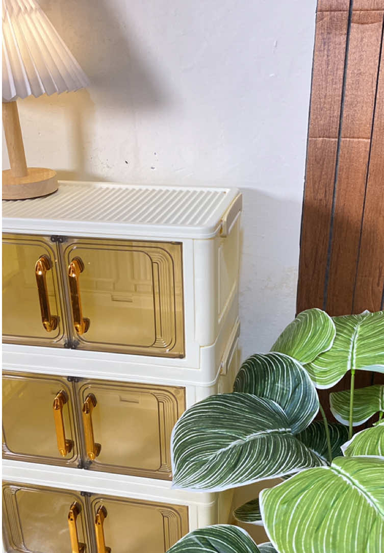 Seneng banget ngoleksi lemari plastik model estetik kayak gini, karena anti dimakan rayap dan anti jamur 😍 #lemariplastik 