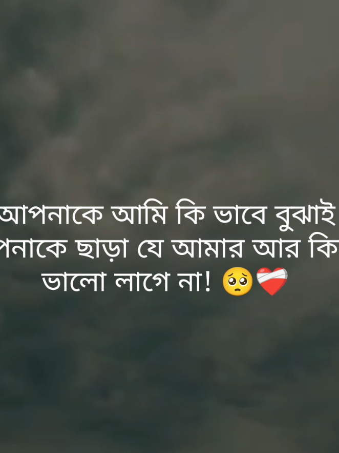 আপনাকে আমি কি ভাবে বুঝাই  আপনাকে ছাড়া যে আমার আর কিছুই ভালো লাগে না! 🥺❤️‍🩹#fypシ゚ #foryou #status #tibro04 #unfreezemyacount 