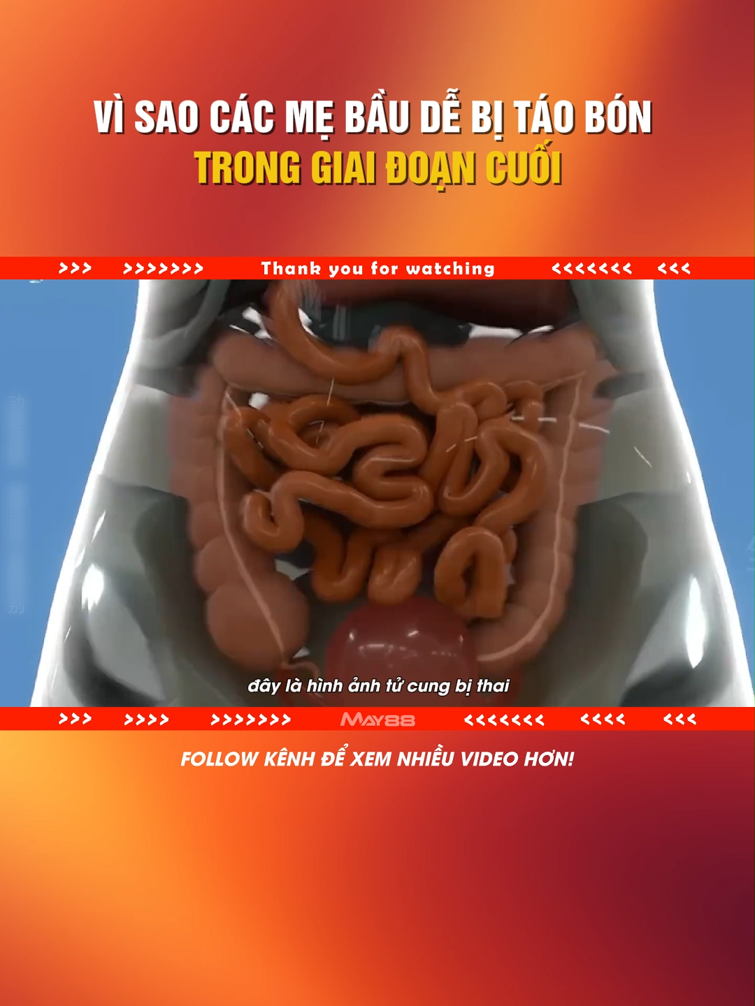 VÌ SAO CÁC MẸ BẦU DỄ BỊ TÁO BÓN TRONG GIAI ĐOẠN CUỐI #LearnOnTikTok #khampha #kienthucthuvi #kienthuc