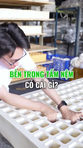 Bên trong tấm nệm cao su có gì? #nemvietnhat #nemcaosu #nemcaosuthiennhien 