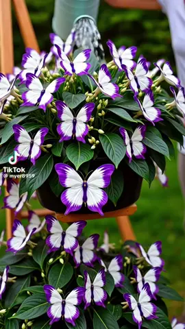 This creator flat out lied to sell a product.. you're welcome... #areyouserious #really #fyp #omg #wtf 