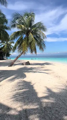 Samal island🌴