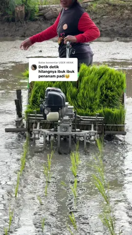 Membalas @USER ARAK detik detik ibu ibu tanam padi secara manual pindah ke mesin tanam padi ponco tani #poncotani  #mesintanampadi #fyppppppppppppppppppppppp 