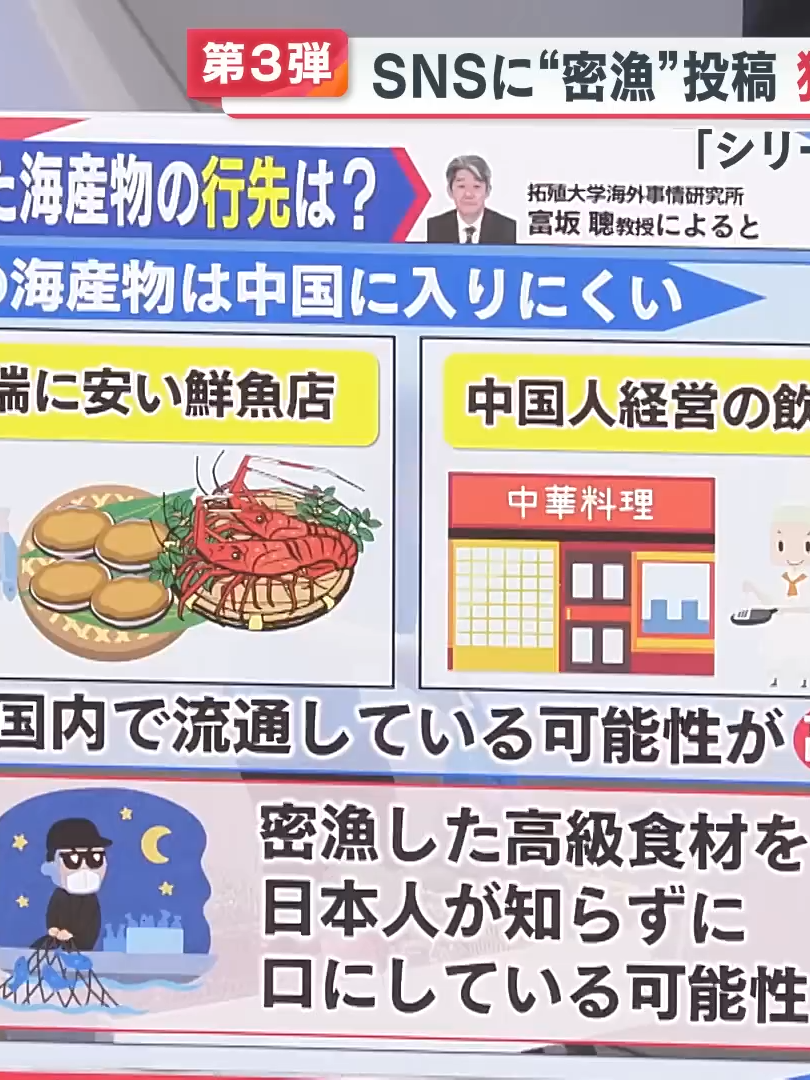 【第3弾】SNSに“密漁”投稿 狙われる“高級海産物”～シリーズ ニッポン 大丈夫？～【めざまし８ニュース】_051