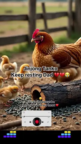 👍