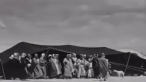 عرفاا 🤩|#اكسبلور #عنزه #السبعه_من_عنزه #الفدعان #الجعافره 