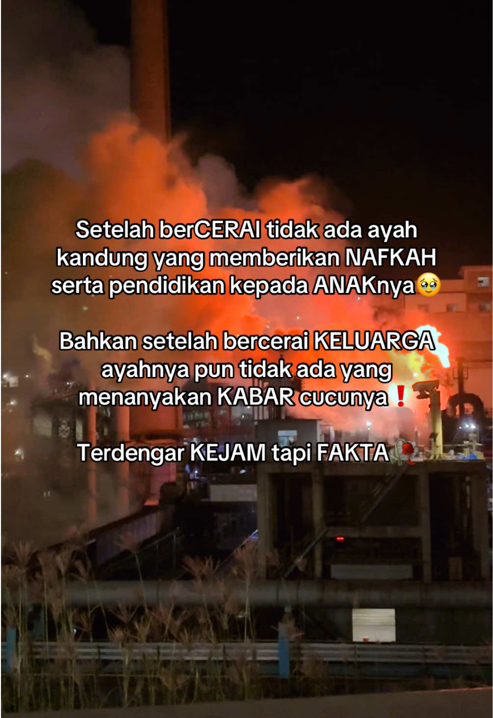FAKTA ❗️❗️🥀 