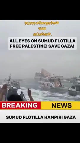 🇵🇸🇵🇸🇵🇸🇵🇸🤲🤲🤲🤲🤲🤲