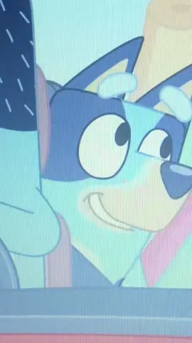 Por eso siempre vayan a Petco!