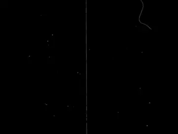 কপি লিং করে দাও প্লিজ 🥺🙏            #foryou #foryou #foryou #btsarmy #btsarmy 