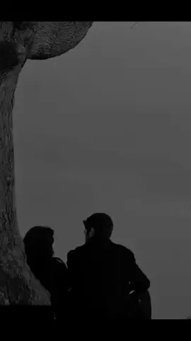 #هشتاقات 