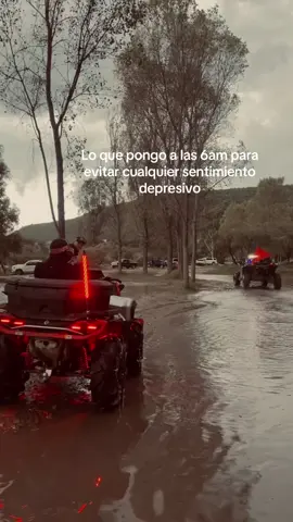 #grupoferoz #fyp #paratiii 