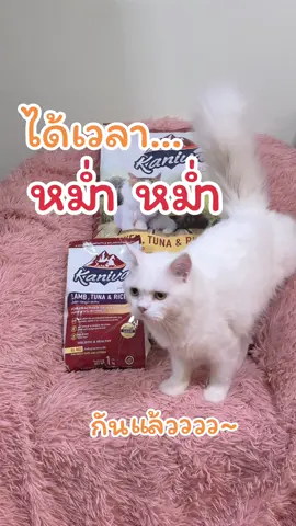 🐱💖 ทาสแมวห้ามพลาด! Kaniva กระสอบใหญ่ 8-10 กก. อร่อยถูกใจ บำรุงขนสวย สุขภาพดี 🐾 #อาหารแมว #ทาสแมว #Kaniva #ของดีบอกต่อ #tiktokป้ายยา 