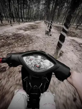 : “爱情就像一首歌，无论多好，总有结束的时候。” “Tình yêu giống như một bản nhạc, dù có hay đến đâu cũng đến lúc phải kết thúc.”