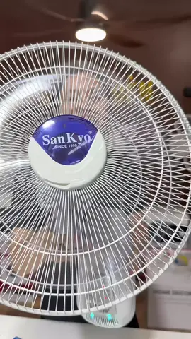 Gái thì hợp lý mà quạt thì mát đẹp  #oanhoioanh  #noithatnhacua  #tongkhoquat  #quattreotuong 