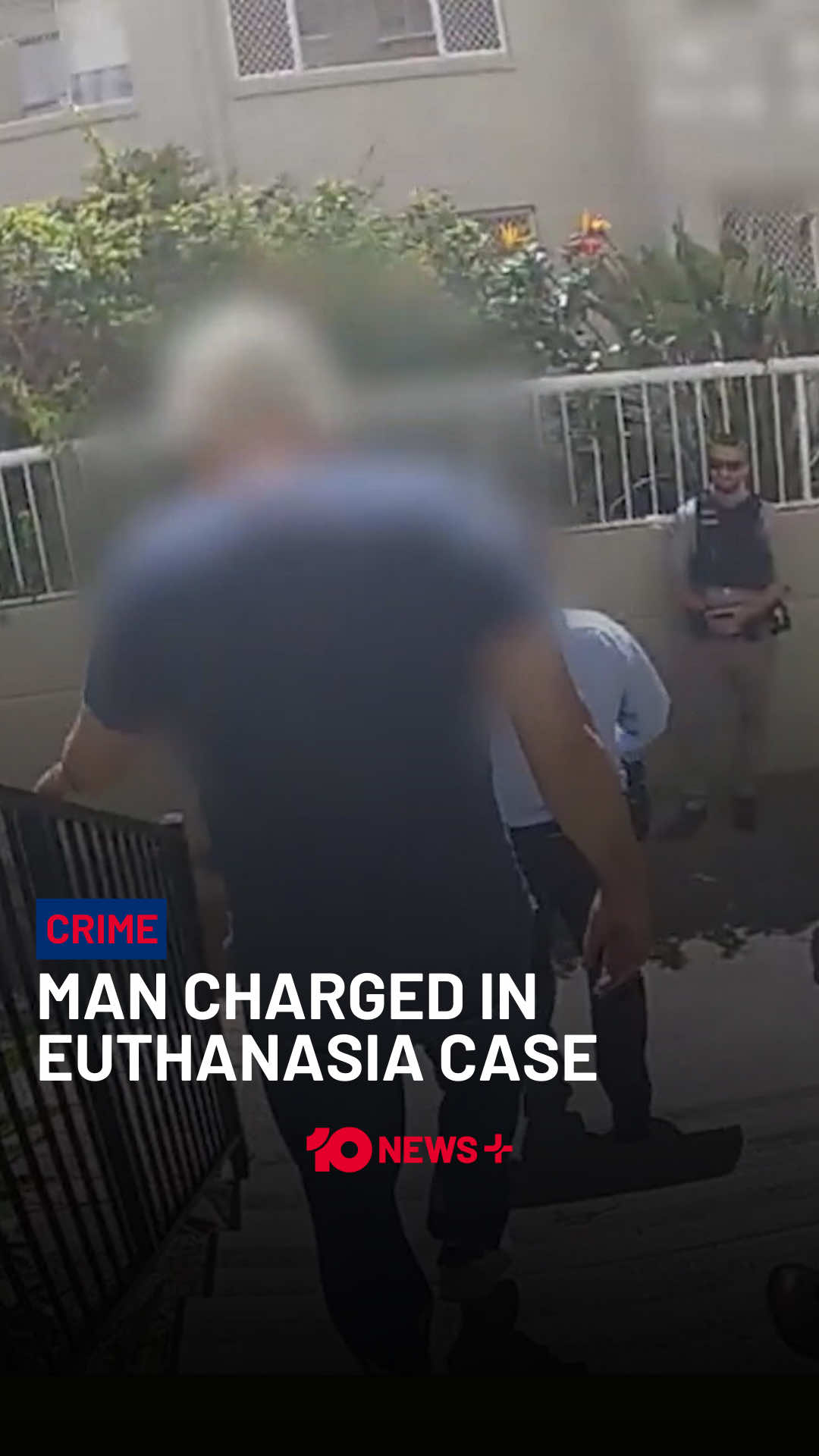 Detectives on the Gold Coast have arrested a 53-year-old man, who is accused of offering drugs, intended for putting down sick whales, to people wanting to end their lives. For the full story, click the link in bio. Watch and stream free on 10 and YouTube. Catch up on Spotify. #10newsplus #crime #investigation #queensland #goldcoast 